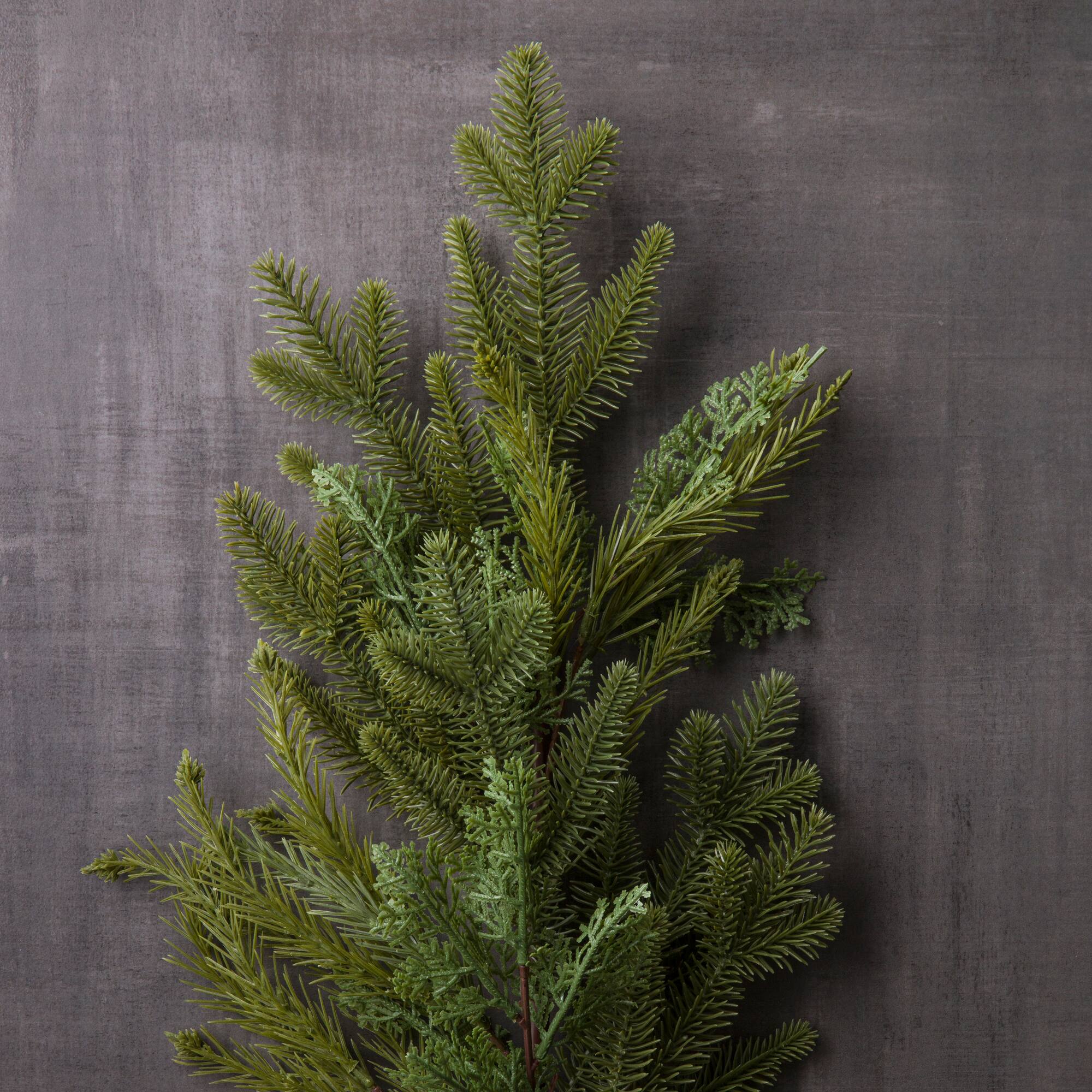 Evergreen Branch by Ashland®